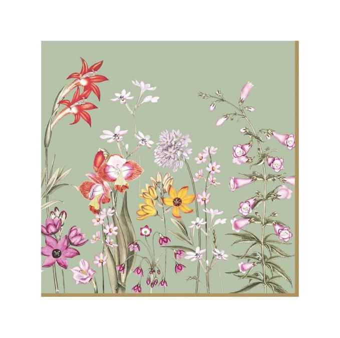 Pack of 20 paper napkins 3 ply