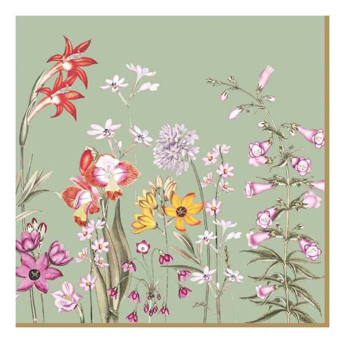 Pack of 20 paper napkins 3 ply