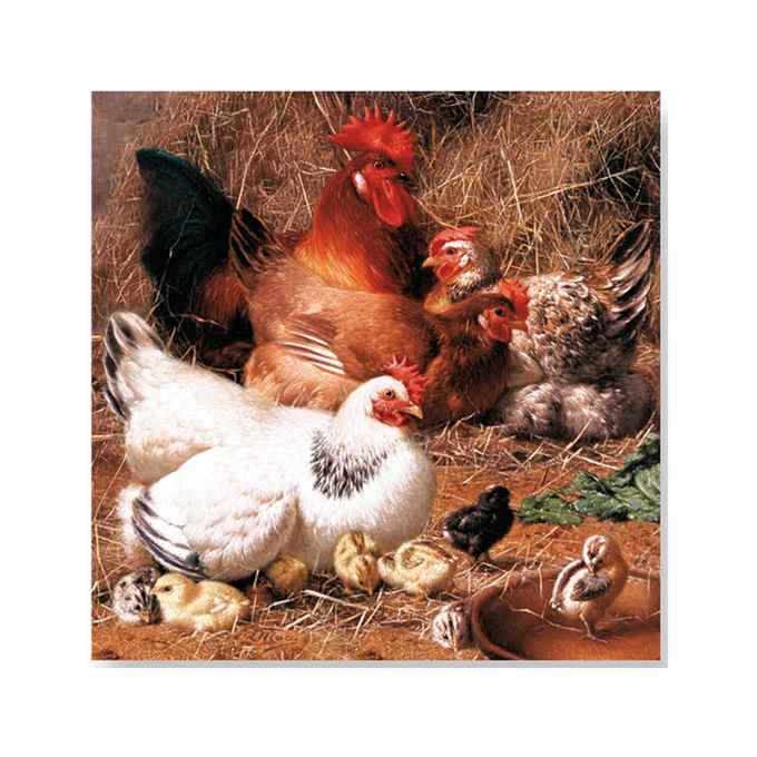 Pack of 20 paper napkins 3 ply