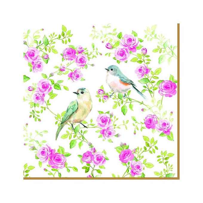 Pack of 20 paper napkins 3 ply