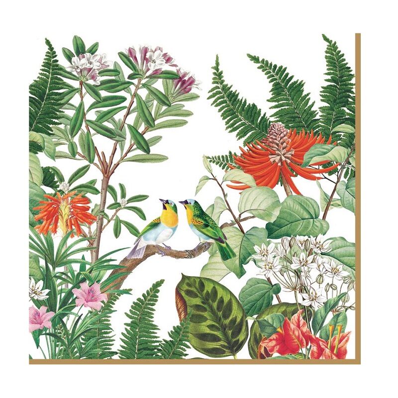 Pack of 20 paper napkins 3 ply
