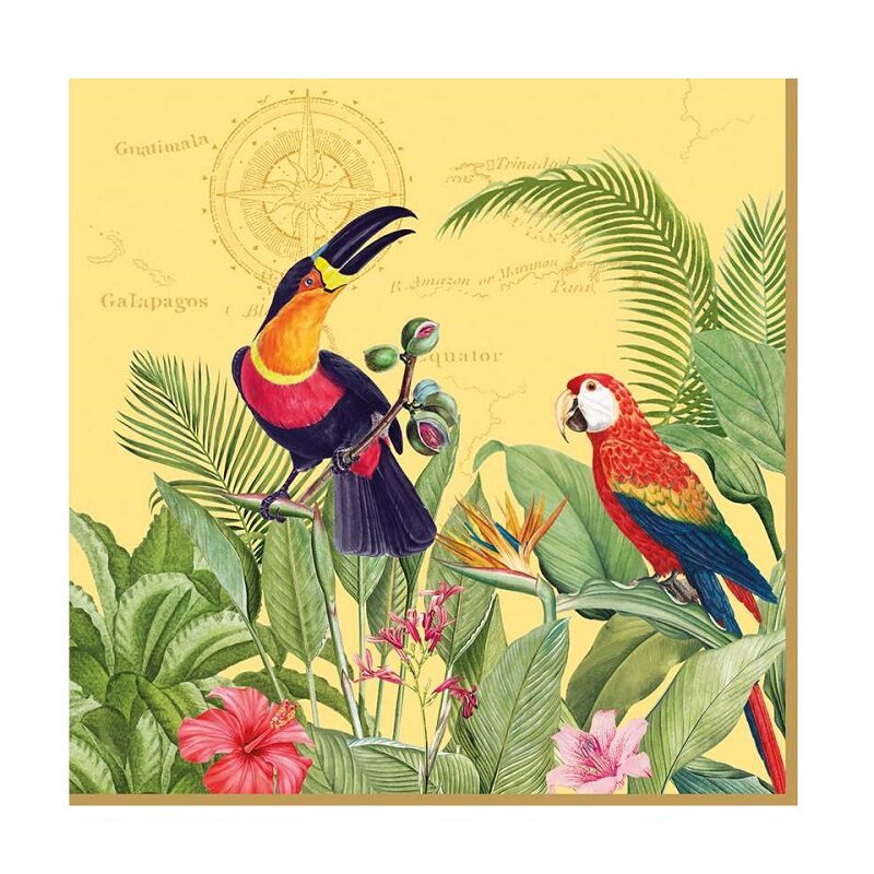 Pack of 20 paper napkins 3 ply