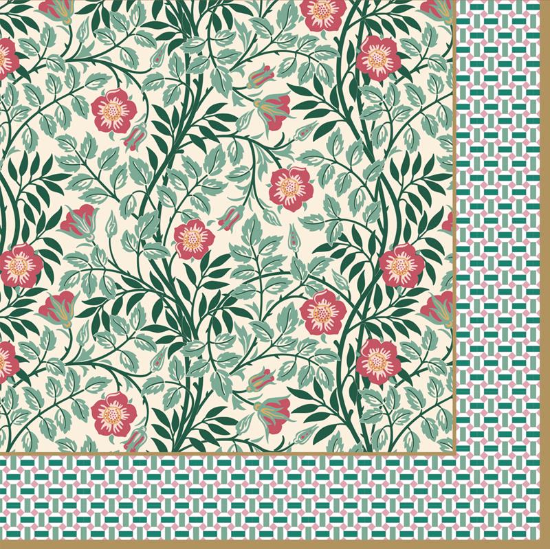 Pack of 20 paper napkins 3 ply