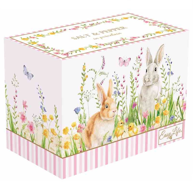 Porcelain salt & pepper pots in colour box