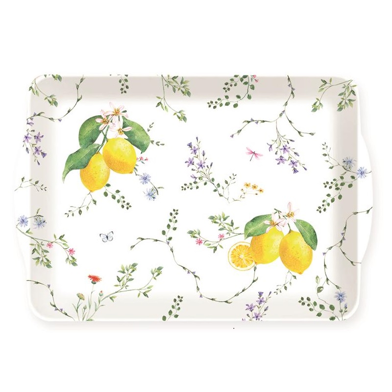 Rectangular tray with handles