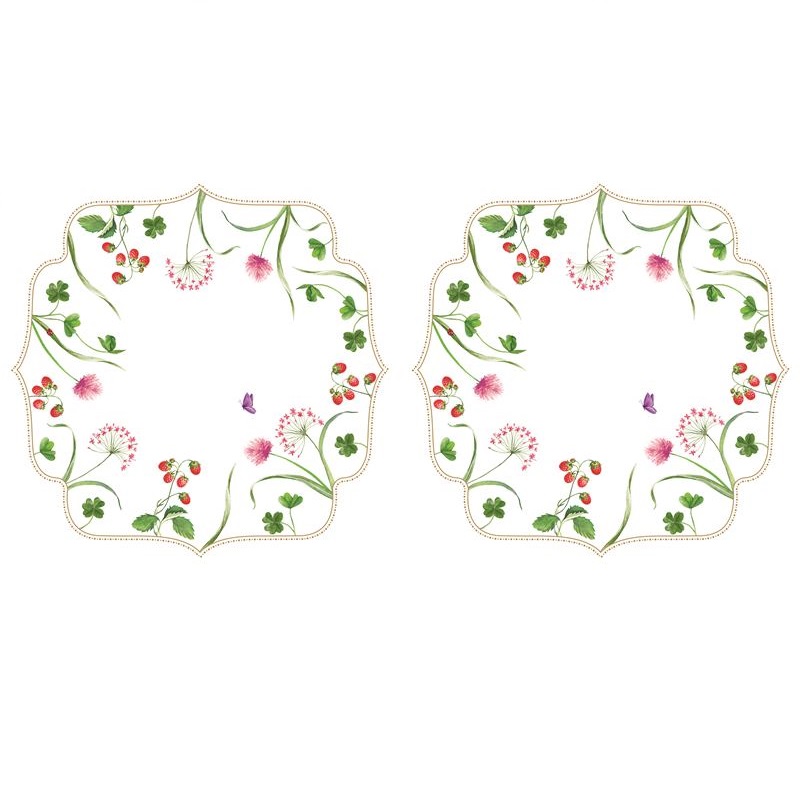 Set 2 PP placemats