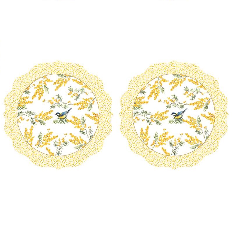 Set 2 PP placemats
