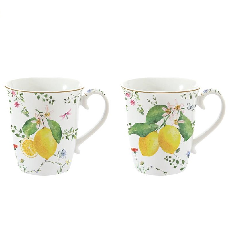 Set 2 porcelain mugs in colour box