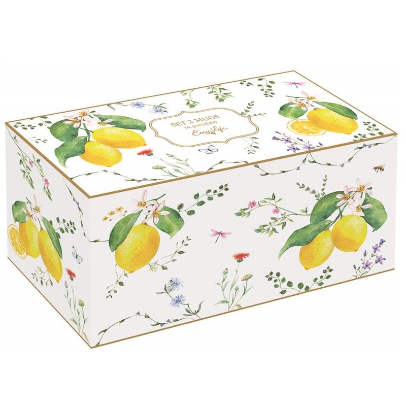 Set 2 porcelain mugs in colour box
