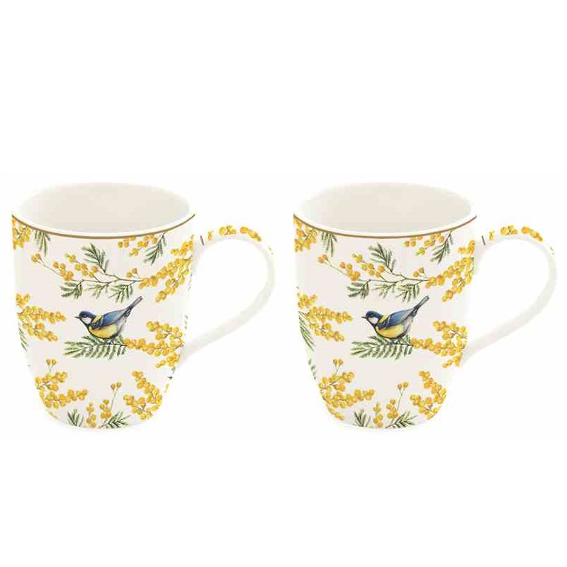 Set 2 porcelain mugs in colour box