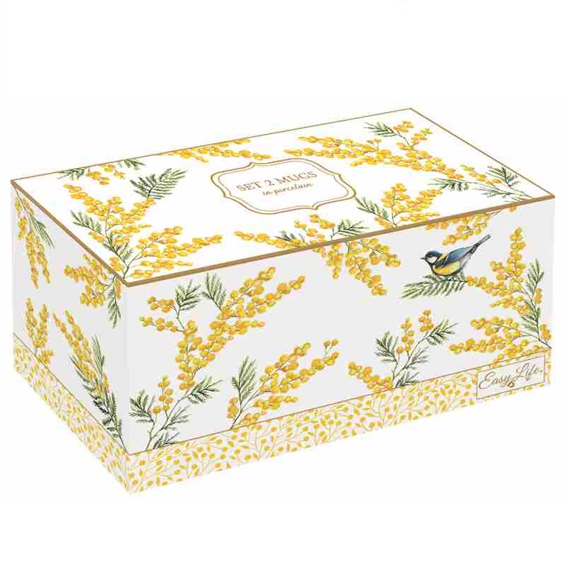 Set 2 porcelain mugs in colour box