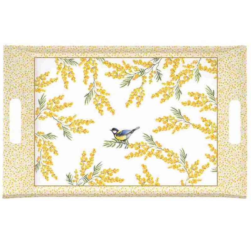 Tray with handles