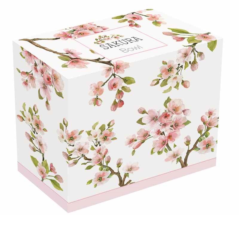 Porcelain bowl in colour box