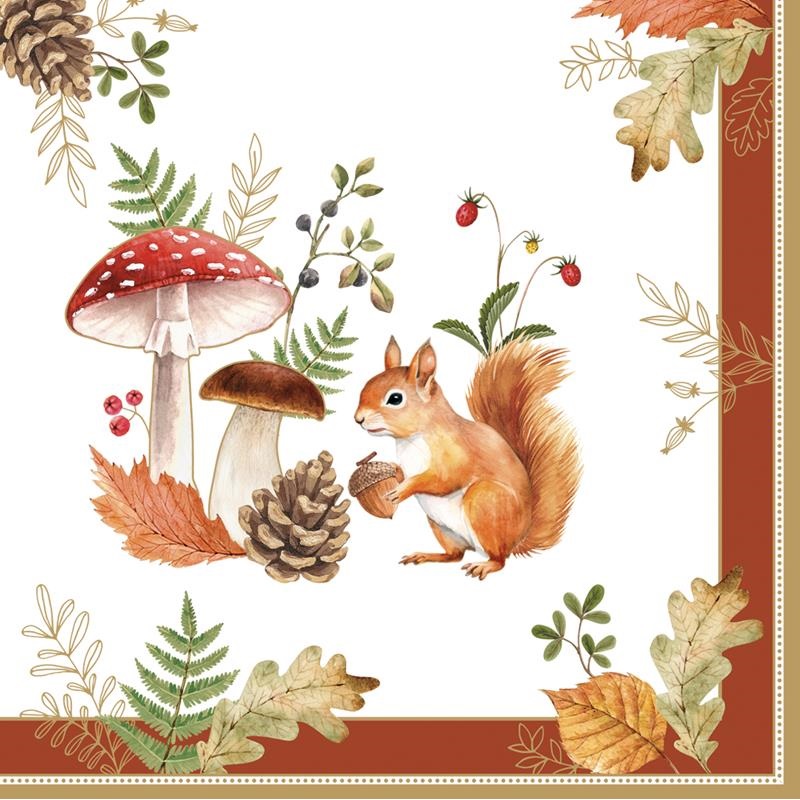 Pack of 20 paper napkins 3 ply