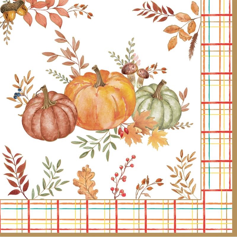 Pack of 20 paper napkins 3 ply