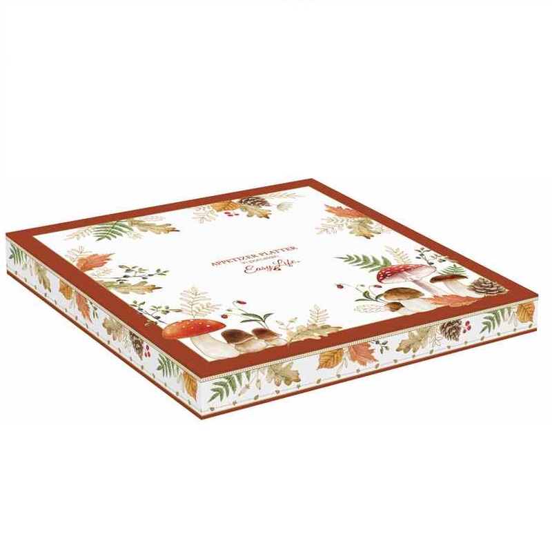 Porcelain appetizer platter in colour box