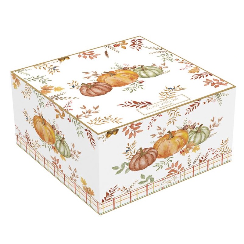 Porcelain bowl with lid in colour box
