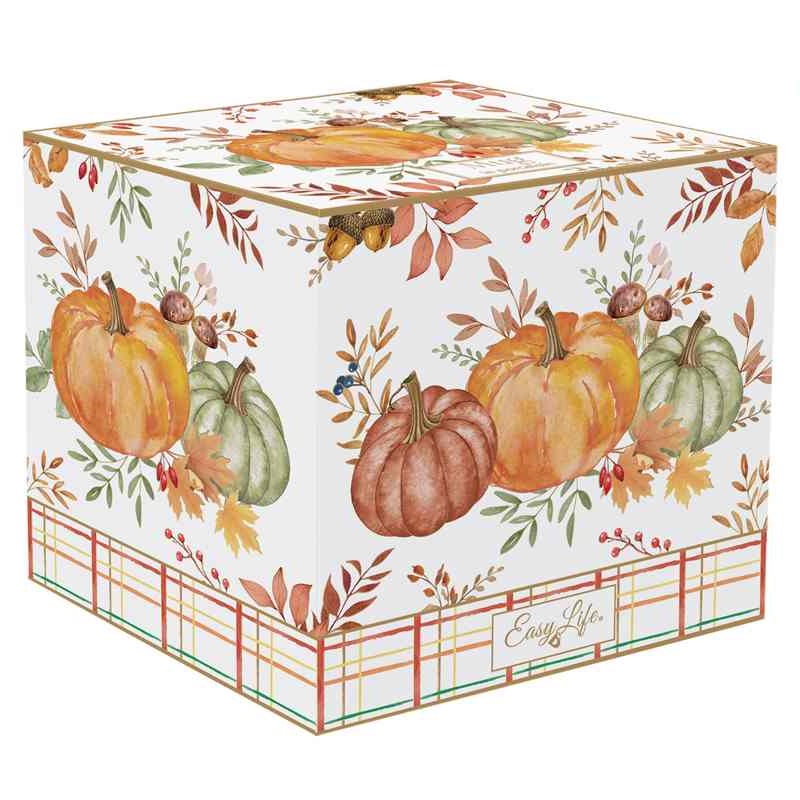 Porcelain mug in colour box