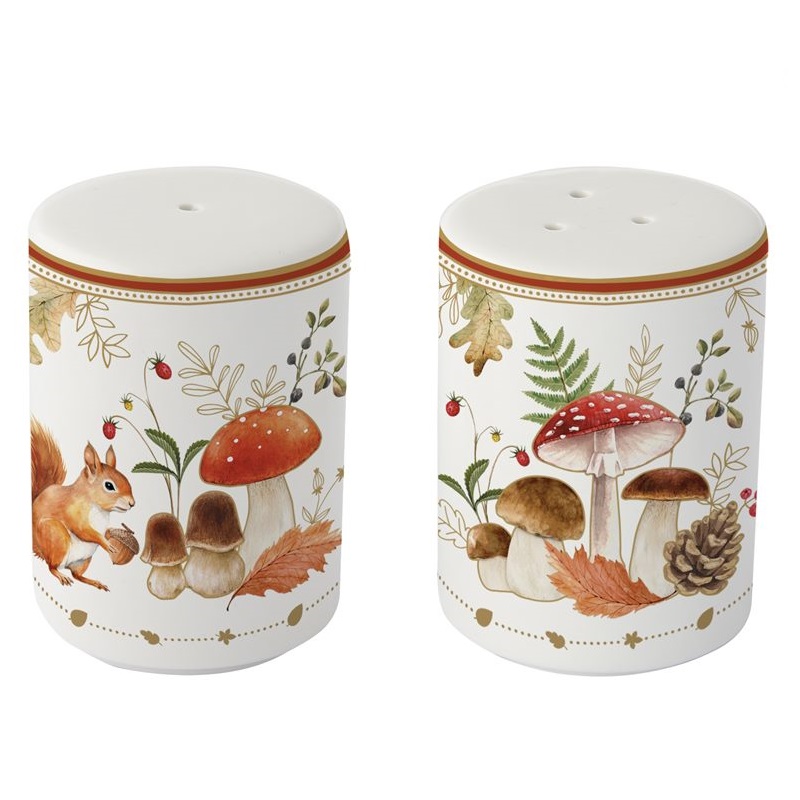 Porcelain salt & pepper pots in colour box