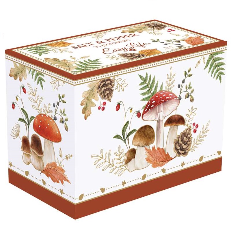 Porcelain salt & pepper pots in colour box
