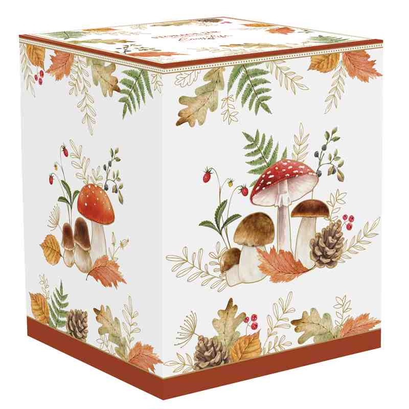 Porcelain storage jar in colour box
