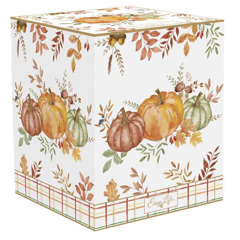 Porcelain storage jar in colour box