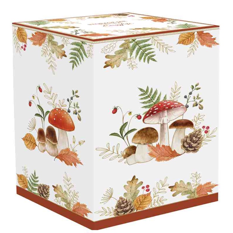 Porcelain storage jar in colour box