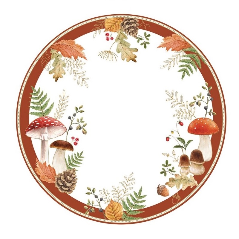 Set 2 PP placemats