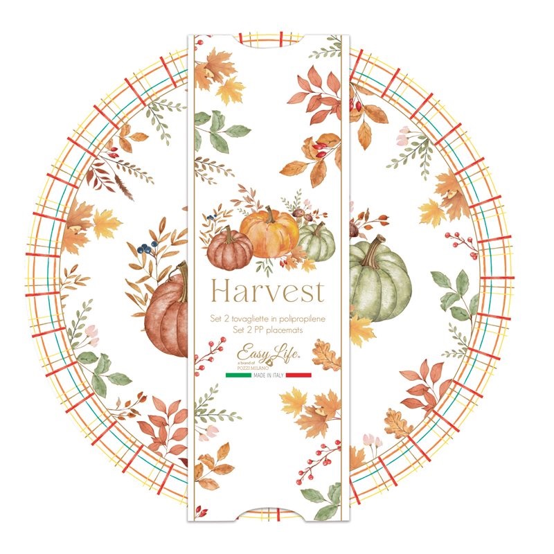 Set 2 PP placemats