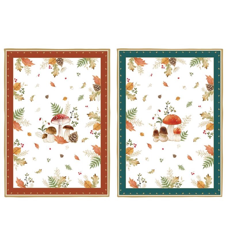 Set 2 kitchen towels 100% cotton