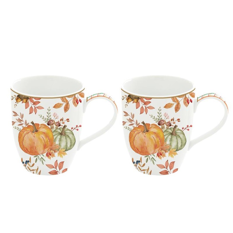 Set 2 porcelain mugs in colour box