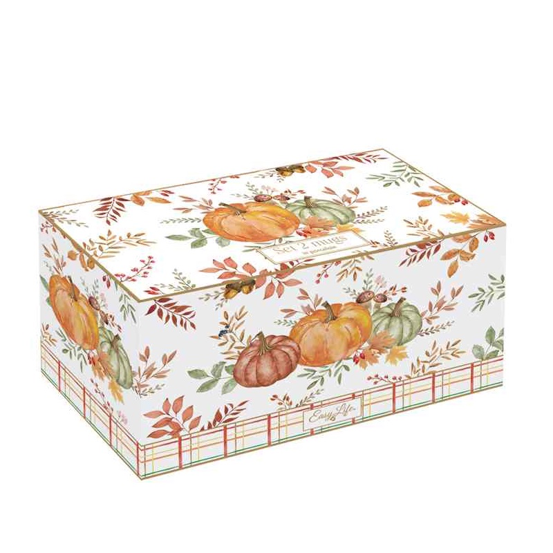 Set 2 porcelain mugs in colour box